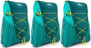 High Sierra Pack-n-Go Backpack Only $12.59 Shipped (Regularly $21)