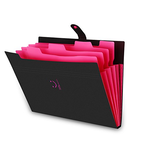 Best 20 Accordion Folders